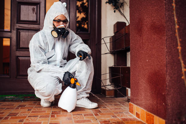 Reliable Cockroach Control contractor in Rochester, PA by Nex Pest Control